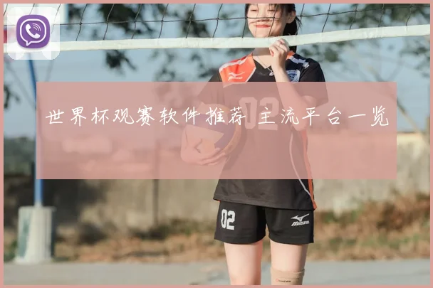 世界杯观赛软件推荐 主流平台一览