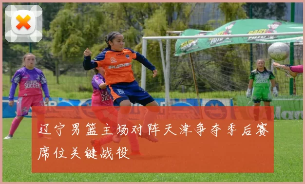 辽宁男篮主场对阵天津争夺季后赛席位关键战役