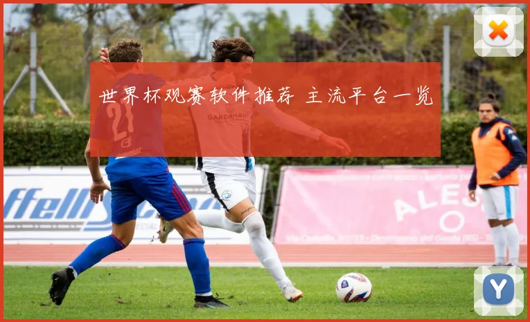 世界杯观赛软件推荐 主流平台一览