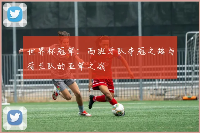 世界杯冠军：西班牙队夺冠之路与荷兰队的亚军之战