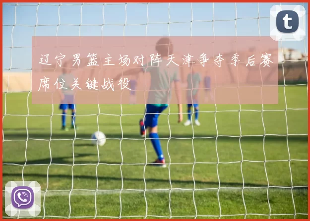 辽宁男篮主场对阵天津争夺季后赛席位关键战役