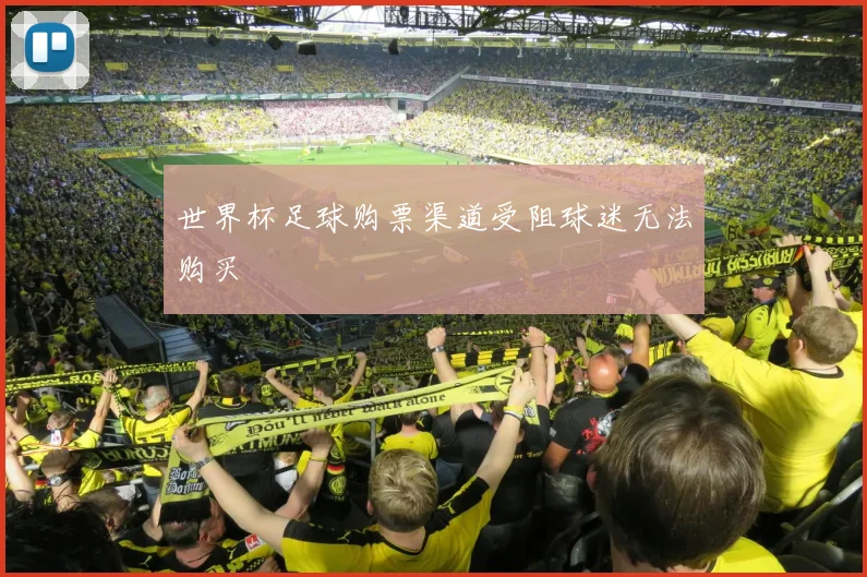 世界杯足球购票渠道受阻球迷无法购买
