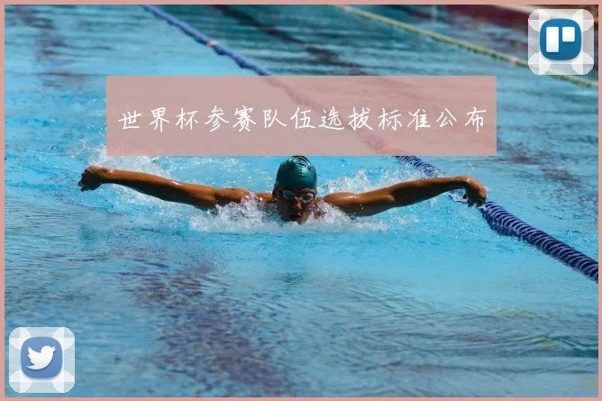 世界杯参赛队伍选拔标准公布