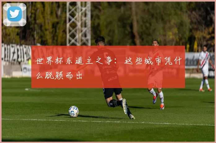 世界杯东道主之争：这些城市凭什么脱颖而出
