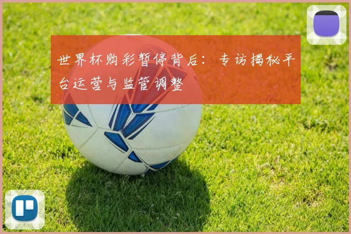 世界杯购彩暂停背后:专访揭秘平台运营与监管调整