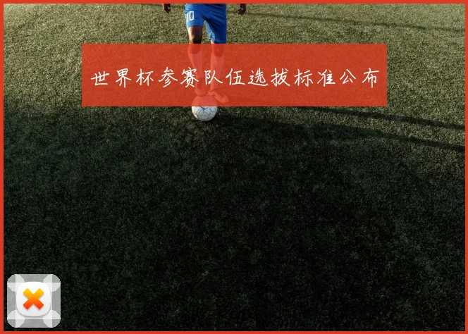世界杯参赛队伍选拔标准公布