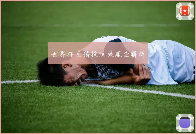 世界杯竞猜投注渠道全解析