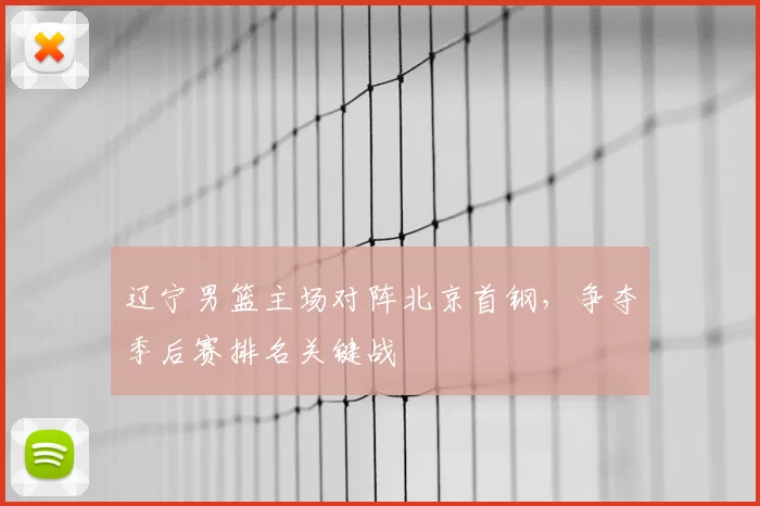 辽宁男篮主场对阵北京首钢，争夺季后赛排名关键战