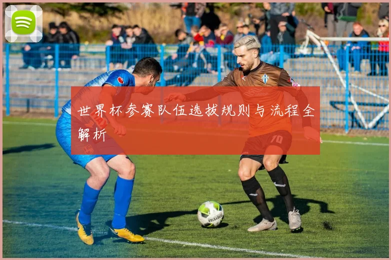 世界杯参赛队伍选拔规则与流程全解析